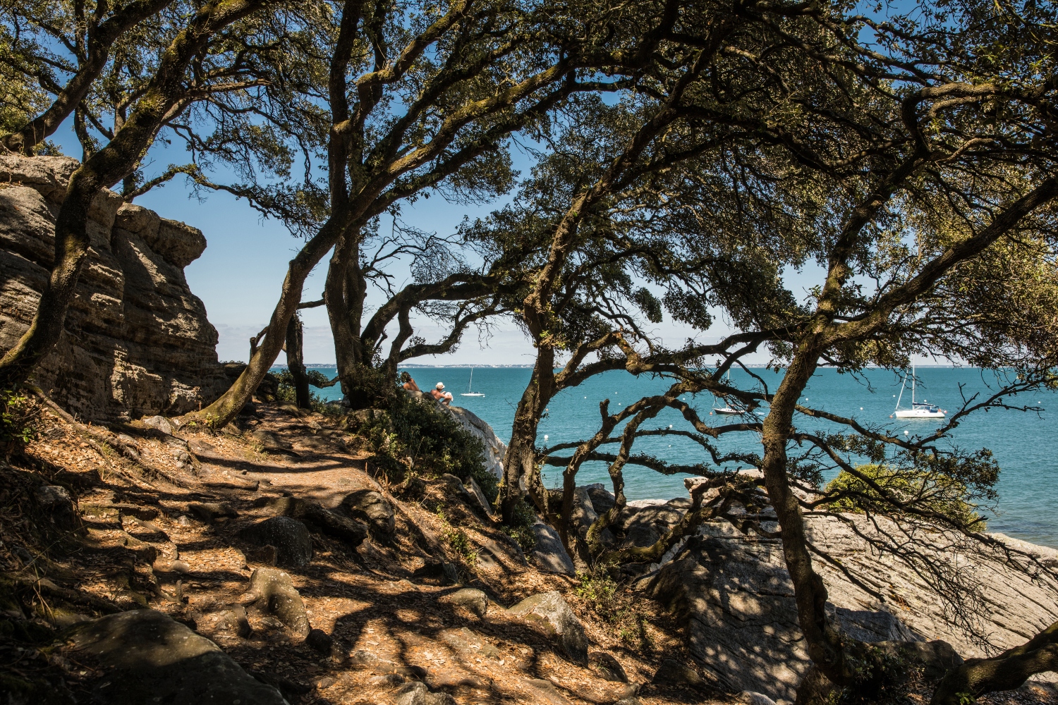 Sentier ombragé du Bois de la Chaise à Noirmoutier