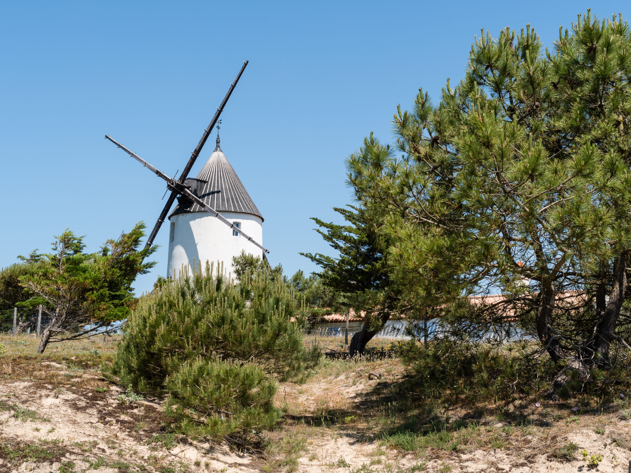 Visiter l'Ile de Noirmoutier en Vendée
