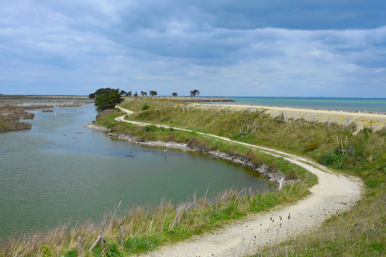 Réserve naturelle du polder de Sébastopol avec oiseaux migrateurs