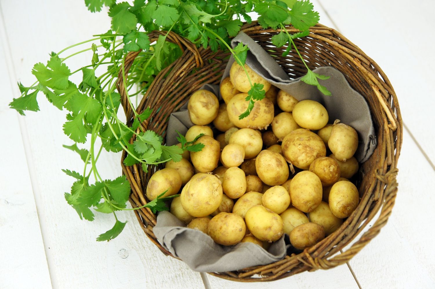 Étals du marché de Noirmoutier-en-l'Île avec produits locaux et spécialités vendéennes