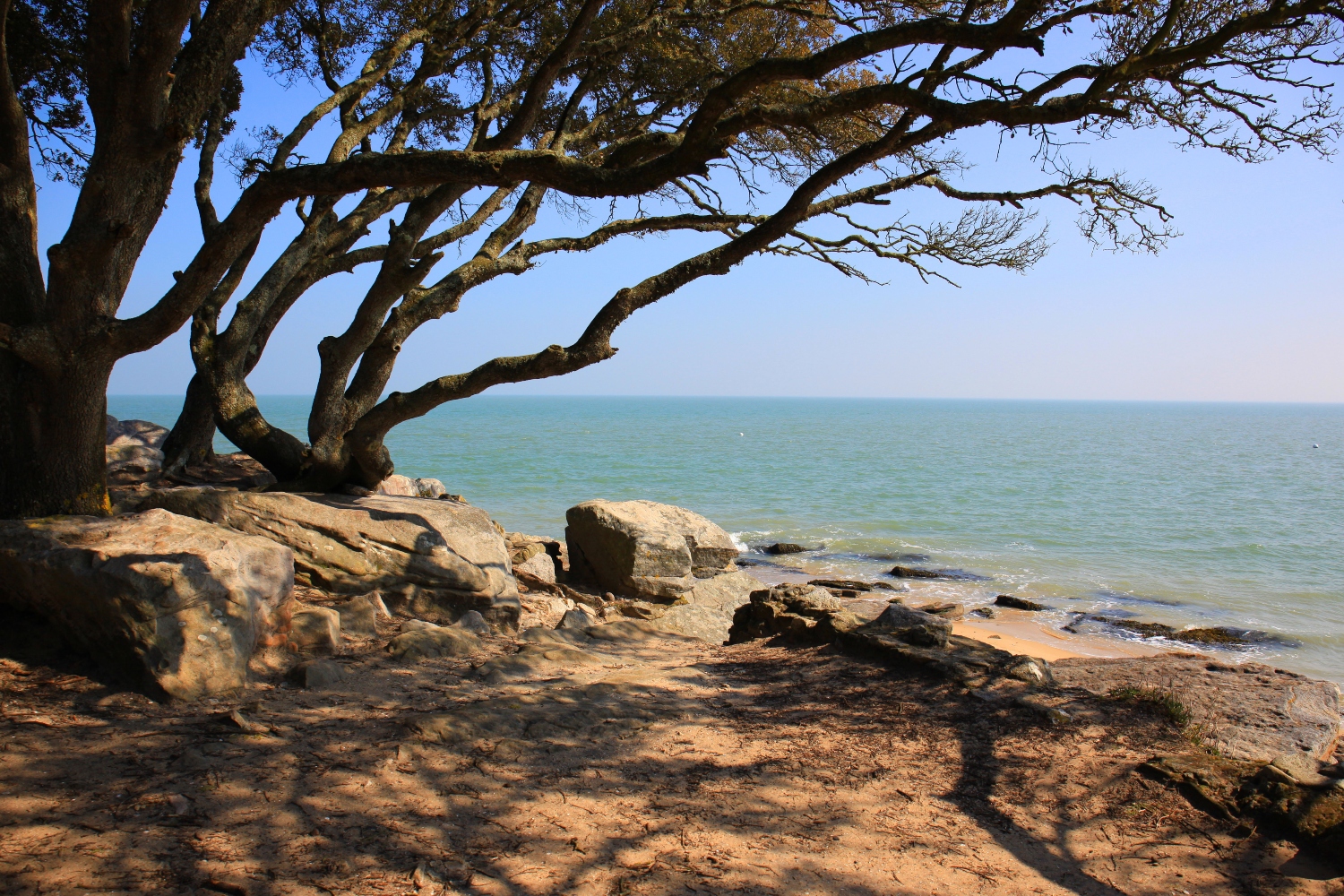 Partez découvrir les alentours lors de votre séjour à l'hôtel sur Noirmoutier en Vendée