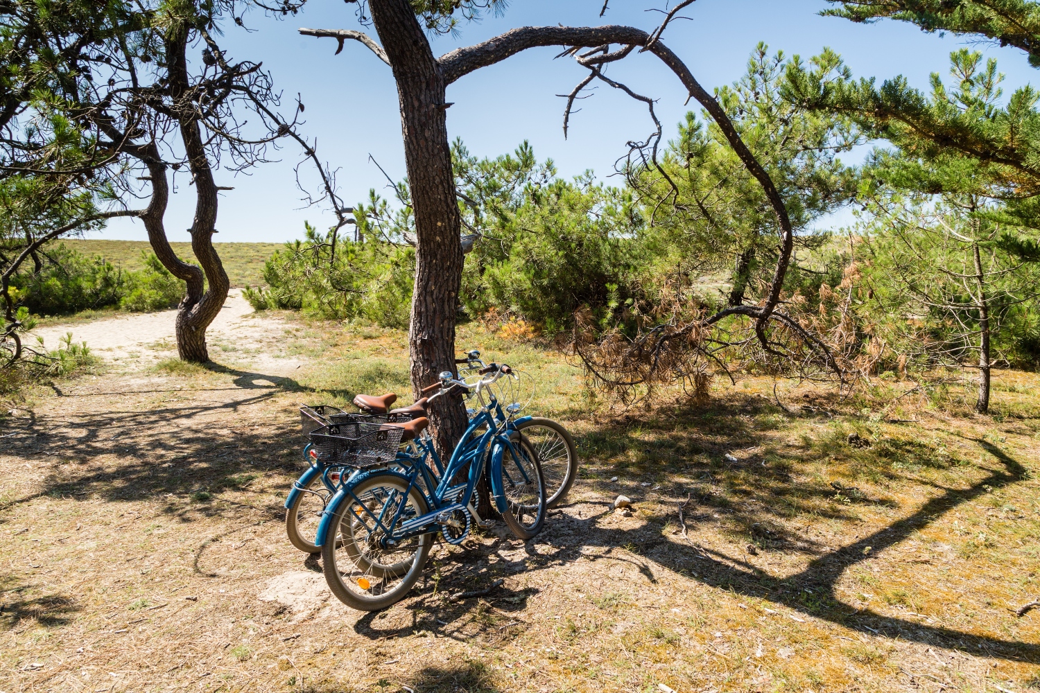 Organisez un séjour en groupe jusqu'à 25 personnes sur l'Ile de Noirmoutier en Vendée