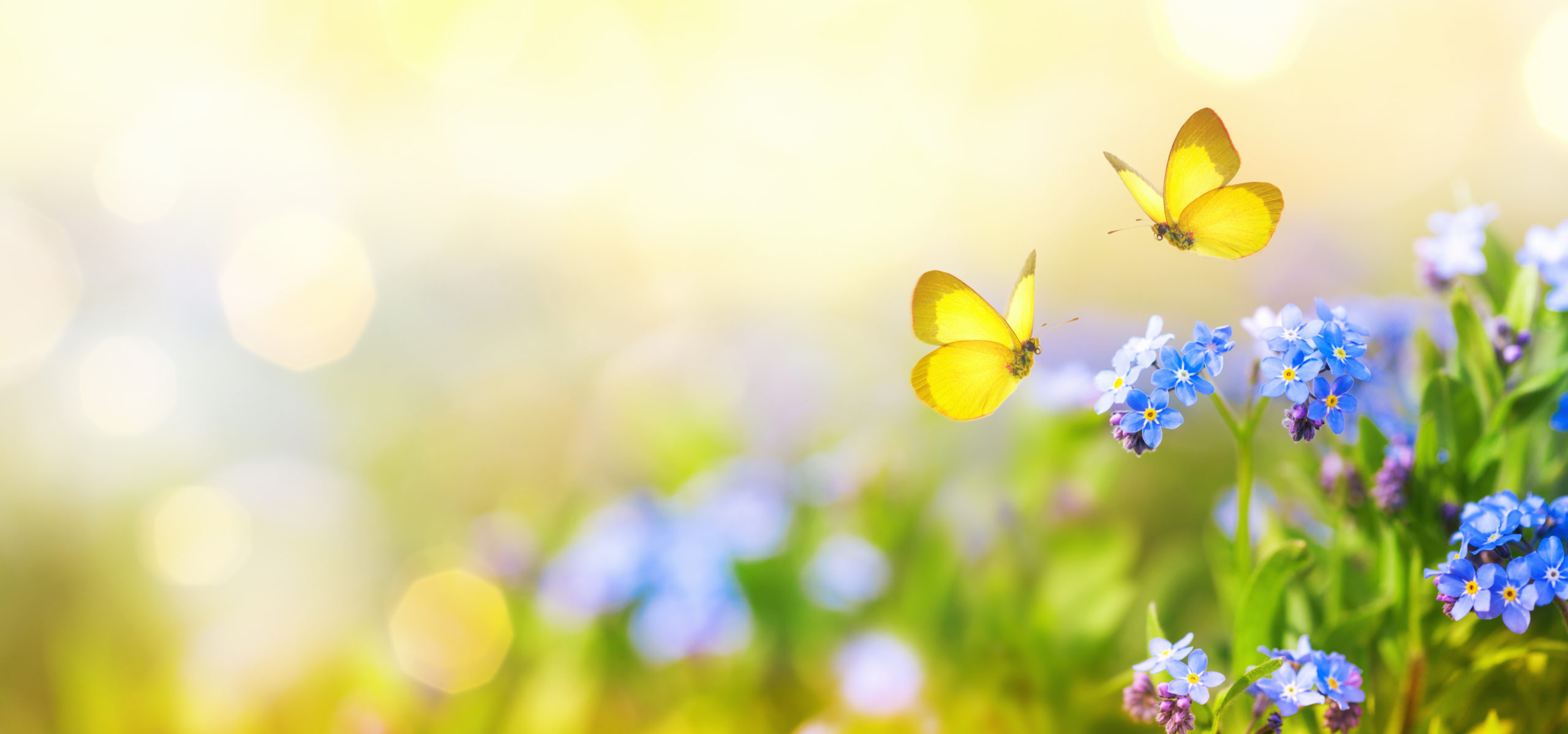 Le printemps est une saison idéale pour s’évader au bord de l’océan.